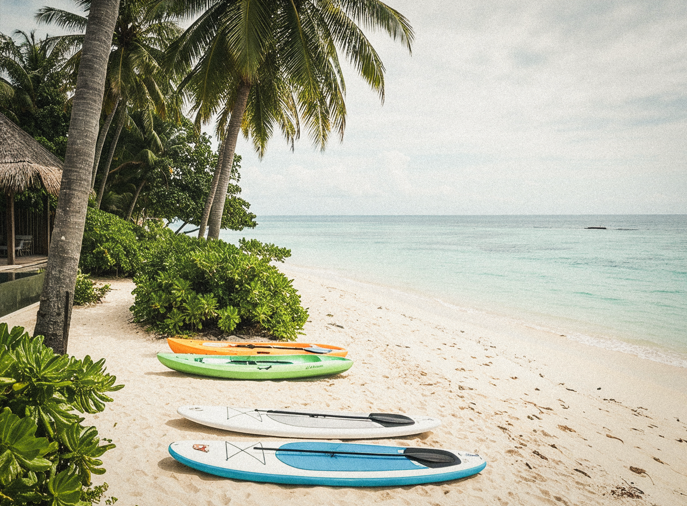 Kayaks and paddleboards rest on the sand beneath palm trees, ready for the water.